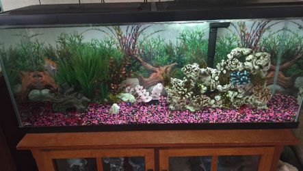 50 gallon fish tank OBO