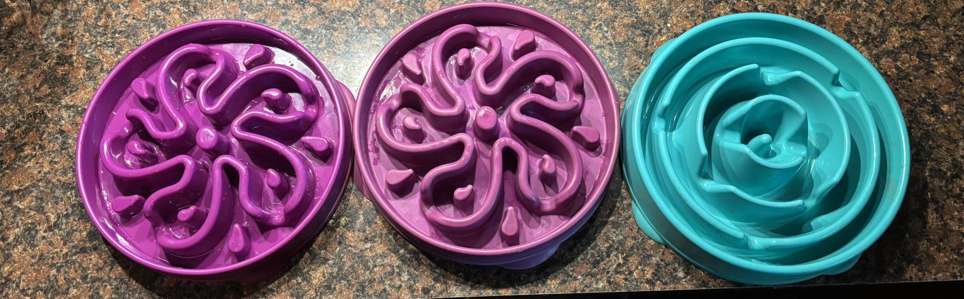 3 Large Slow feeders 