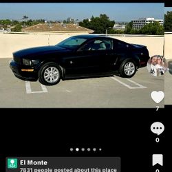 Mustang Ford