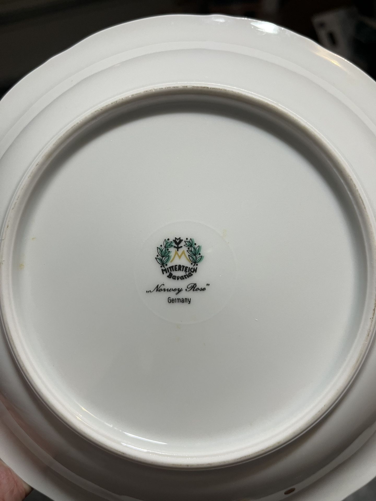 China Set Vintage Norway Rose Mitterteich