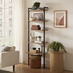 mopio Norwin Ladder Book Shelf, Wall Bookshelf, Farmhouse Industrial Bookcase, Narrow Slim Organizer Display Shelves, Living Room, Bedroom (5-Tier She