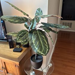 Decorative flowers in pot Home decor Office decoration 