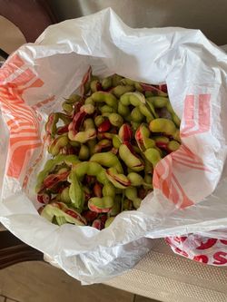 Guamuchil fresco 35