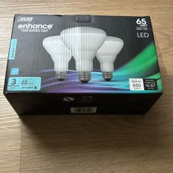 3 Flood Light Bulbs