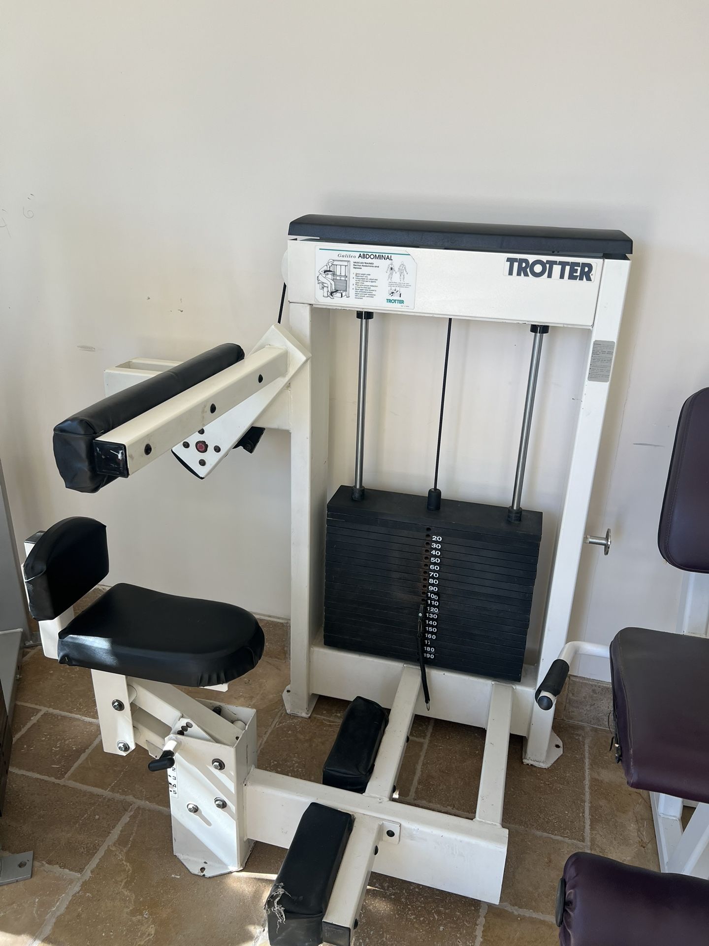 Trotter Galileo Seated abdominal Crunch