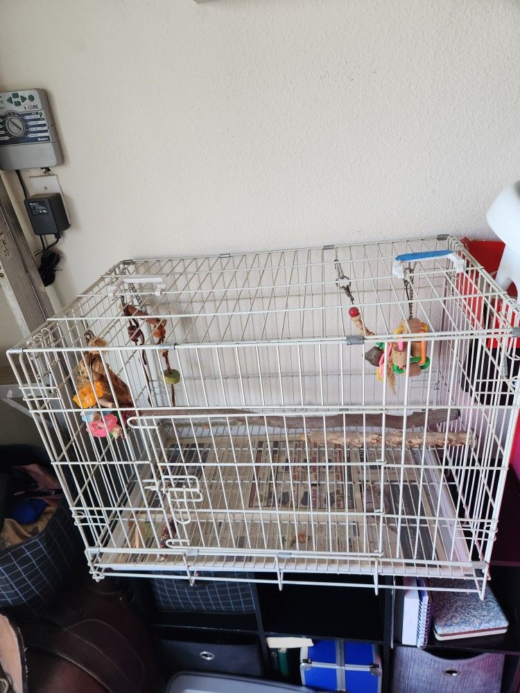 Bird Cage
