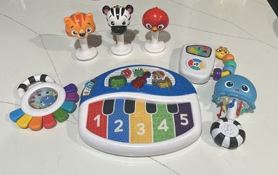 Baby Einstein Developmental Toys