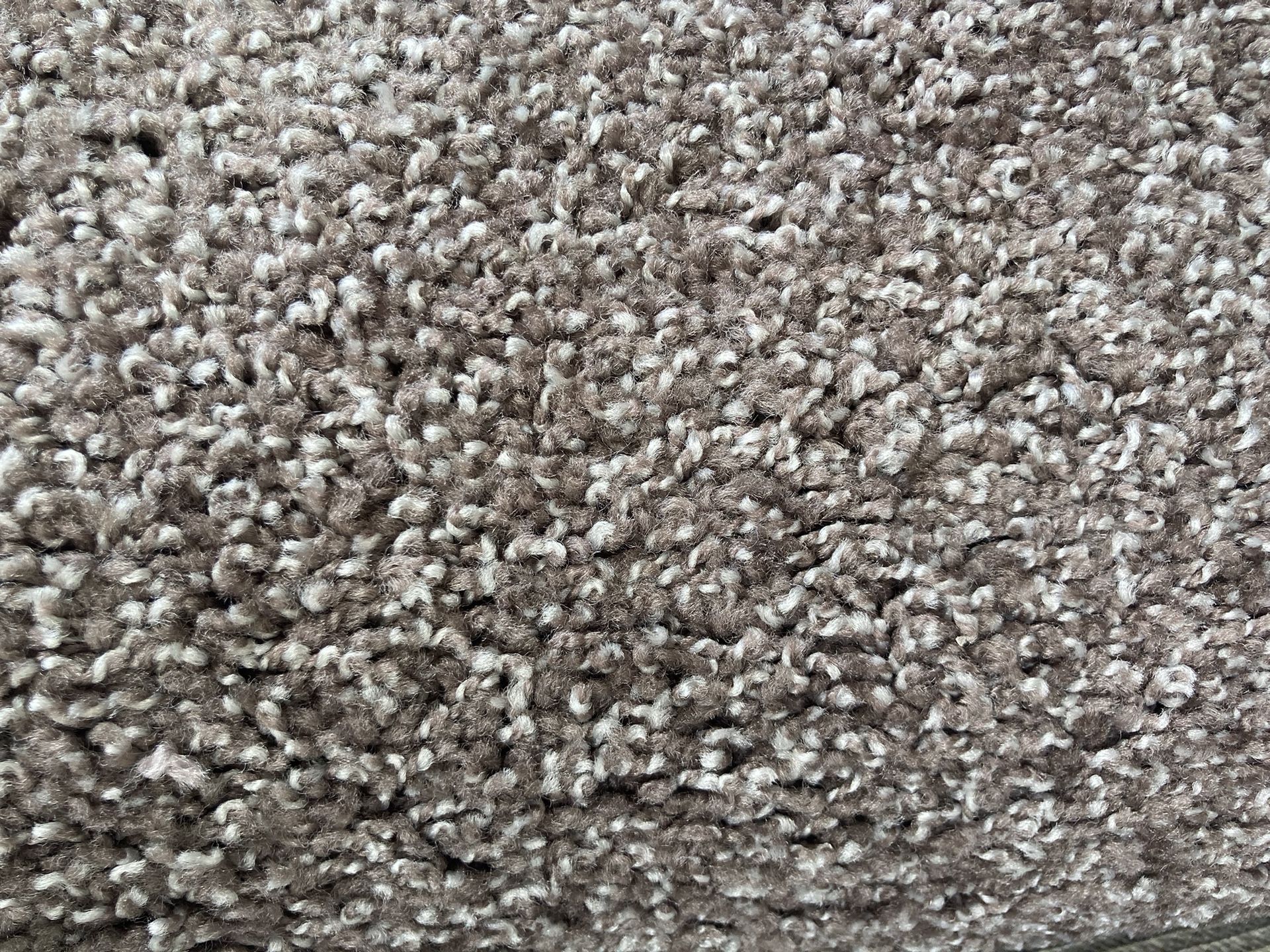 Cookies & Cream Carpet