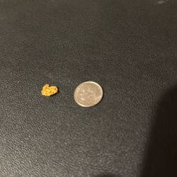 Gold Nugget
