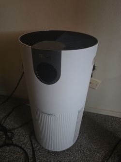 Shark air filter