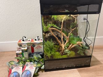 Bioactive 18x18x24 Reptile enclosure