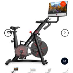 Stationary Bicycle