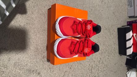 Nike star runner shoes
