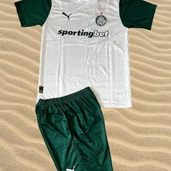Palmeiras Kit