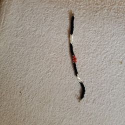 Beaded Black, Dark Orange  And Pearl White Bracelet