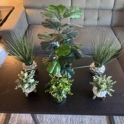 Decorative Artificial Plants