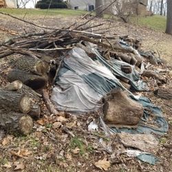 Firewood For Sale