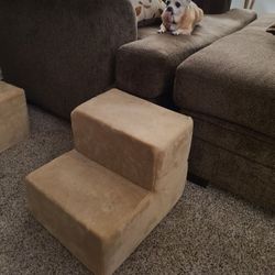 X small Pet Steps