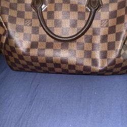 Louis Vuitton Paris Purse