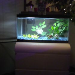 20 Gallon Fish Tank 