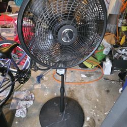 Fan