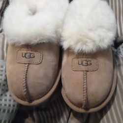 Uggs Slipper 