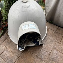 Dog House 