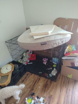 Kennel with huge bed