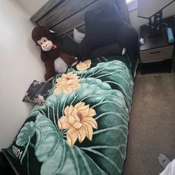 Queen Bed 