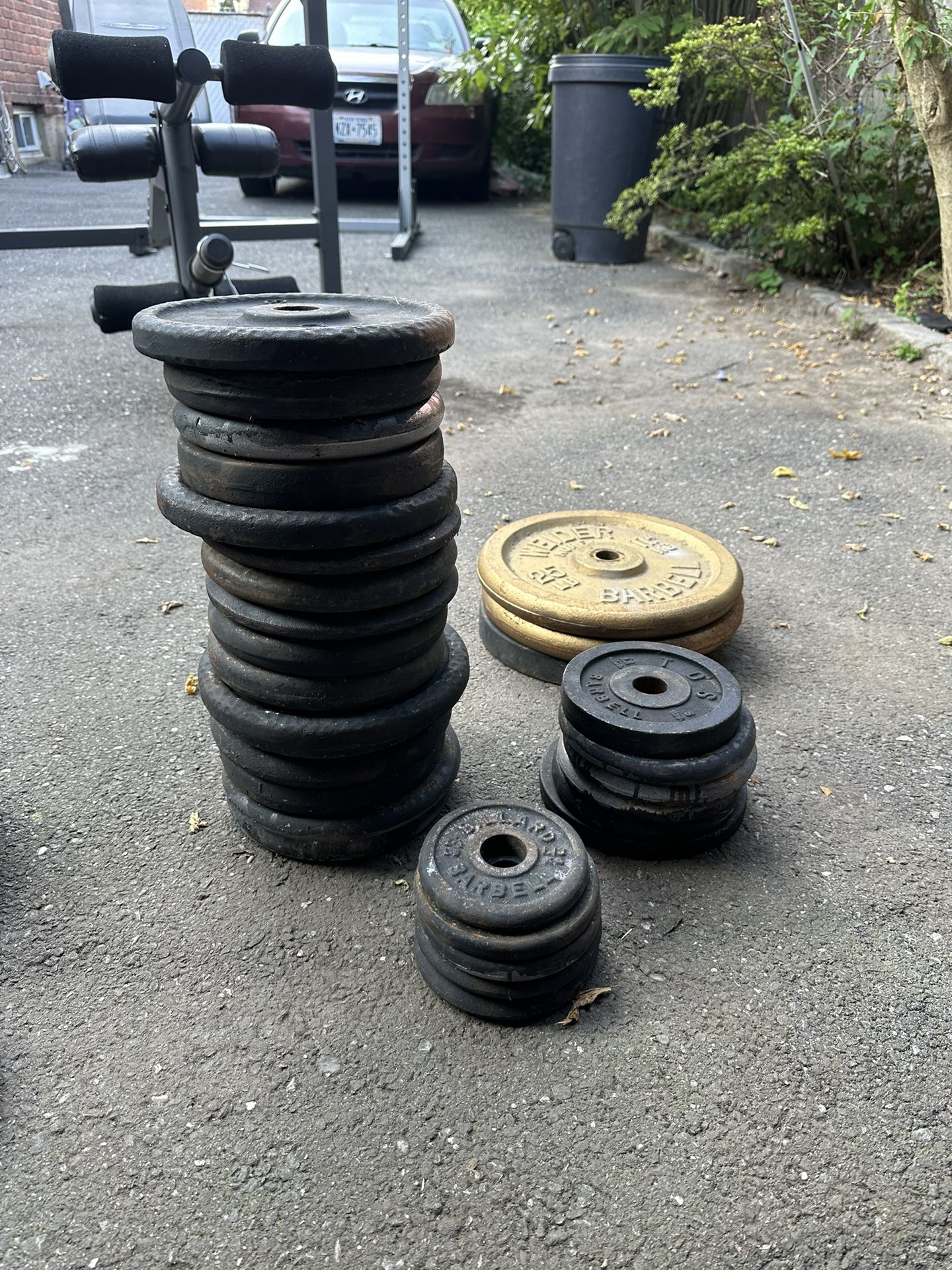 240+lbs Standard Weight Plates