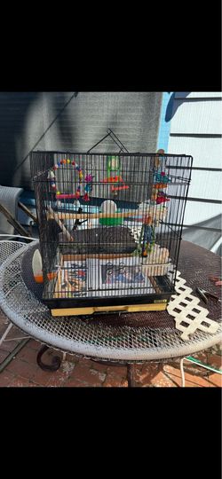 Bird cage nice 18 wide 22 long