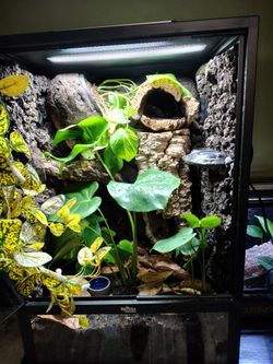 24x18x36 Reptile PVC Enclosure