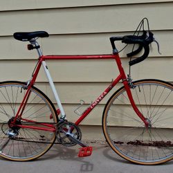 Tall Univega Road Bike 