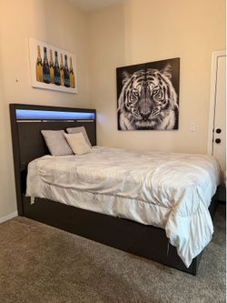 Gray Modern Queen Bed