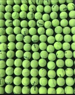 55 Tennis Balls $10