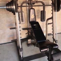 Nautilus NT SM1 Smith machine with pec deck & Weights