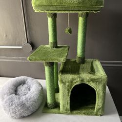 Green Cat Tree with Bed