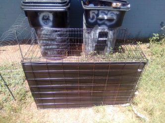 À large dog kennel
