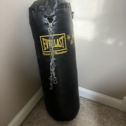 Everlast Heavy Punching Bag
