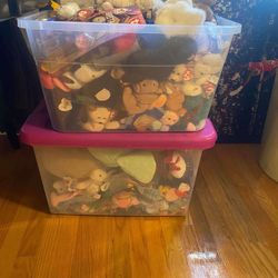 A Few Hundred Beanie Babies 