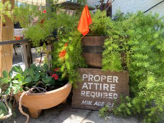 Moving Sale - Plants, Furniture, Household Items, Tools