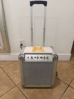 Professional amplifier for guitar vocals and music