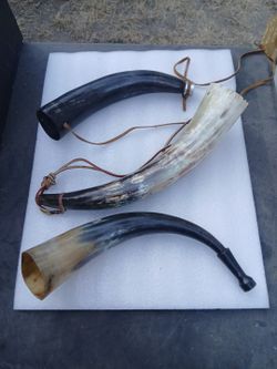 3 Vintage Bull blowing. Horns $100