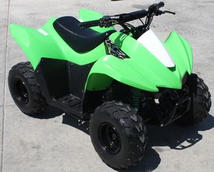 2019 Kawasaki KFX 50