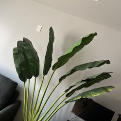 Artificial House/outdoor Plant 