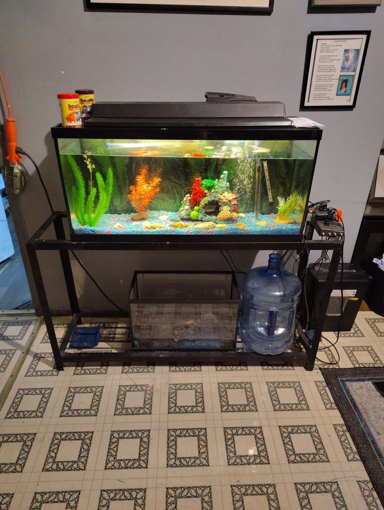 Two Fish Tanks