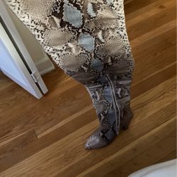 Snakeskin Boots 