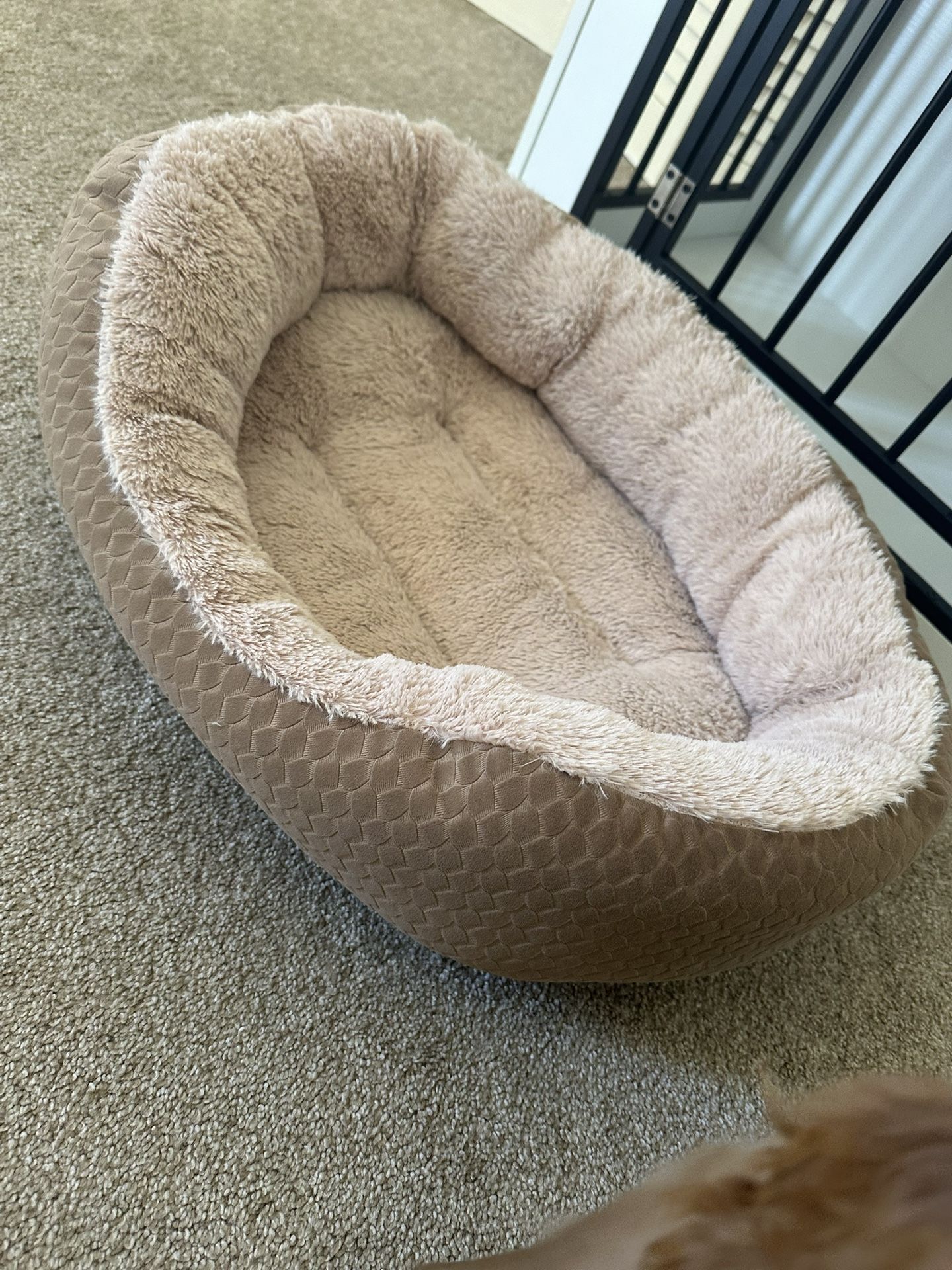 Dog Bed