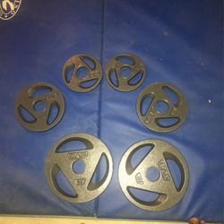 Weights + Dumbbell + Barbell