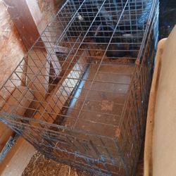 Dog Kennel, Crate